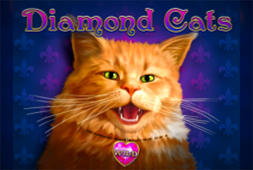 Diamond Cats